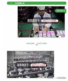 揭秘“香港組裝蘋果手機”代理背后的暴利與風險 科技廣告下的真相