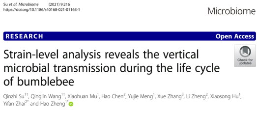 山東省農(nóng)業(yè)科學(xué)院自然科學(xué)研究的前沿探索與實(shí)踐